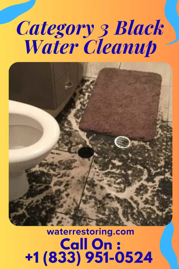 Category 3 Black Water Cleanup in Advance, MI