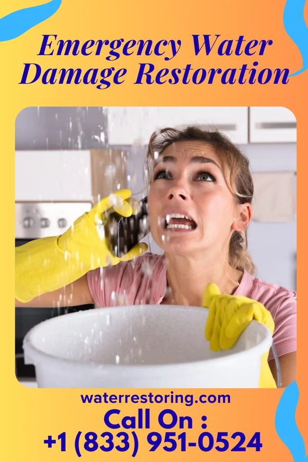 Emergency Water Damage Restoration in Advance, MI