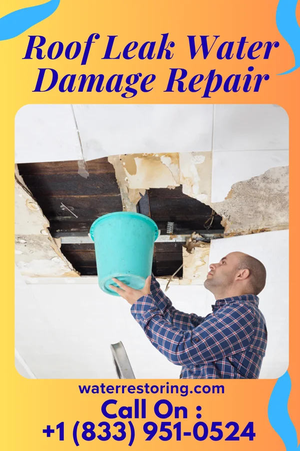Roof Leak Water Damage Repair in Advance, MI